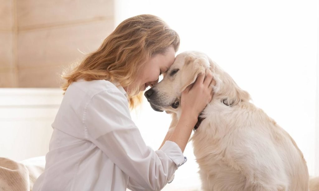 Descubre cómo un perro como apoyo emocional puede cambiar tu vida